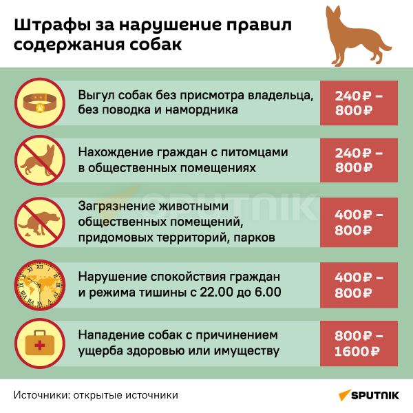Штрафы за нарушение правил содержания собак в Южной Осетии - Sputnik Южная Осетия