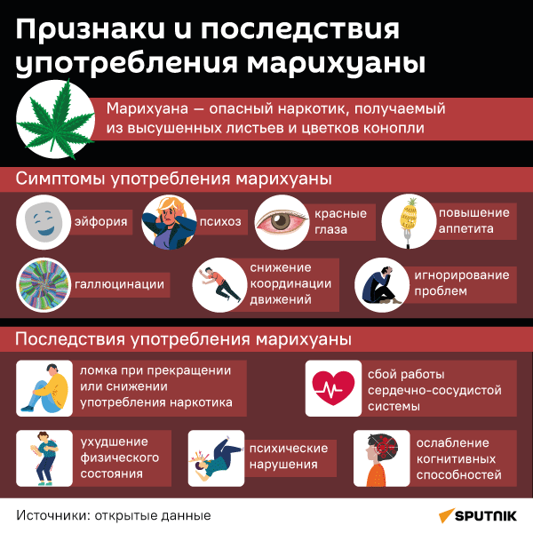 Признаки и последствия употребления марихуаны - Sputnik Южная Осетия