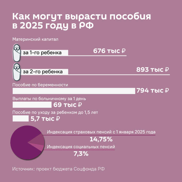 Как могут вырасти пособия в 2025 году в РФ - Sputnik Южная Осетия