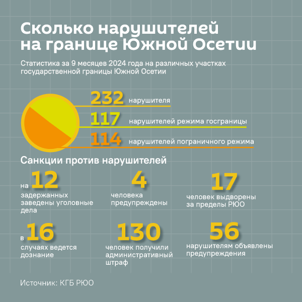 Сколько нарушителей госграницы задержали в Южной Осетии - Sputnik Южная Осетия