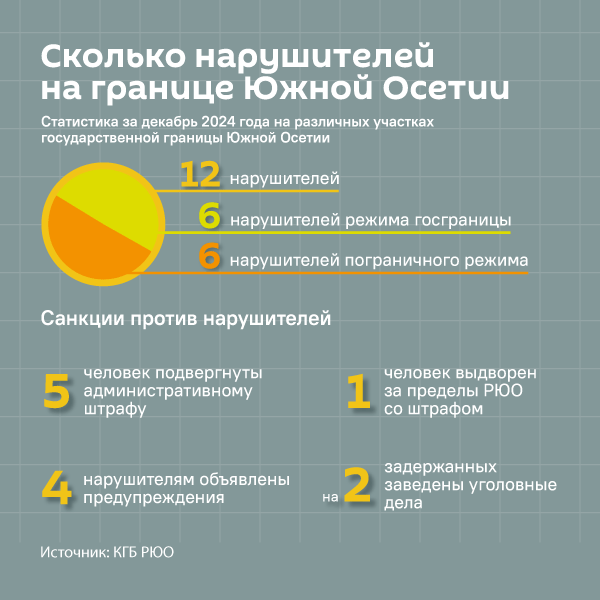 Сколько нарушителей госграницы задержали в Южной Осетии  - Sputnik Южная Осетия