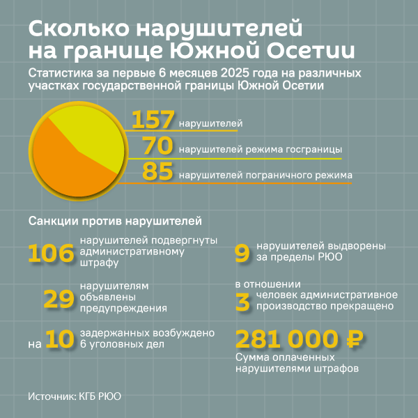 Сколько нарушителей госграницы задержали в Южной Осетии - Sputnik Южная Осетия