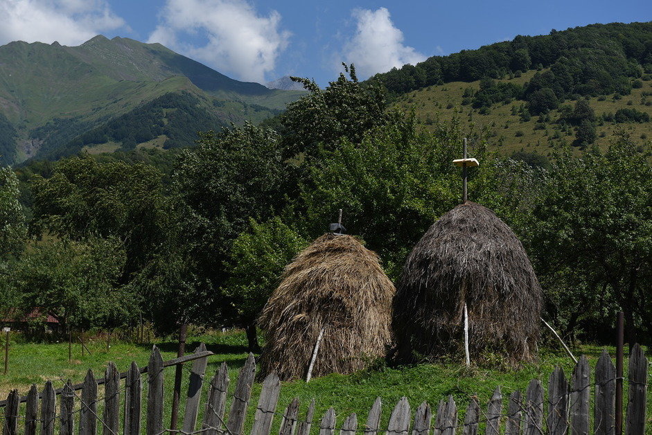 Джава южная осетия фото