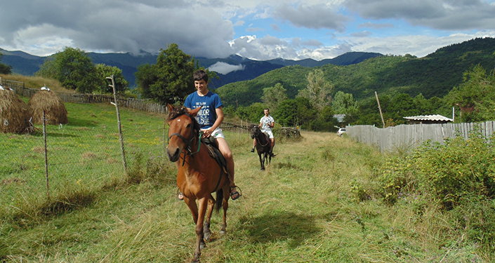 Гостевой дом Алана Парастаева в селе Кроз