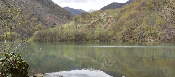 Леуахийы цӕугӕдоны ссардӕуыд нӕлгоймаджы мард буар Леуахийы цӕугӕдоны ссардӕуыд нӕлгоймаджы мард буар - Sputnik Хуссар Ирыстон