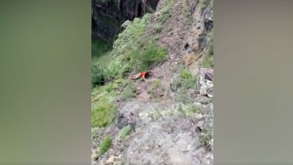 Женщина сорвалась со скалы в Краснодарском крае после селфи. Слабонервным не смотреть - Sputnik Южная Осетия