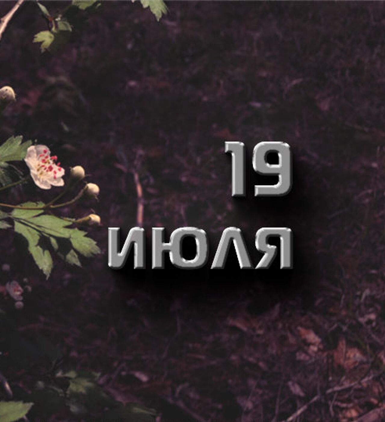 19 Июля Новый Год