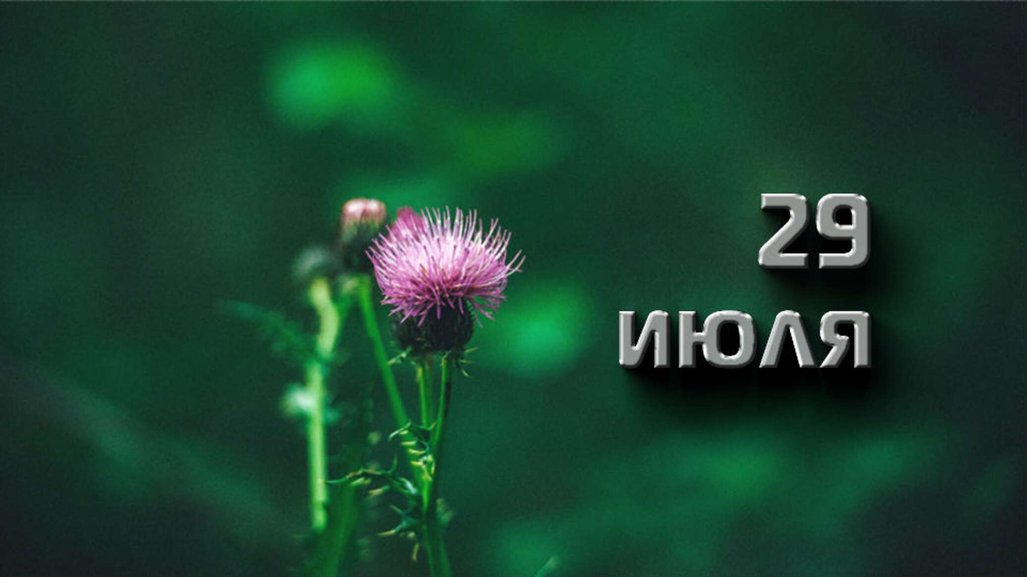 Сегодня 29 июля. Сегодня 29 июля. Финогеев день. Народный календарь афиногенов день. Чирская икона божией матери.