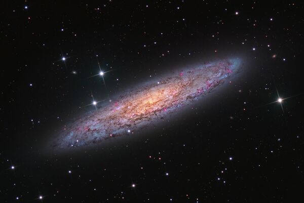 Снимок NGC 253 - Starbust Galaxy in Sculptor канадского фотографа Terry Robison из категории Galaxies, попавший в шортлист конкурса Insight Investment Astronomy Photographer of the Year 2020  - Sputnik Южная Осетия