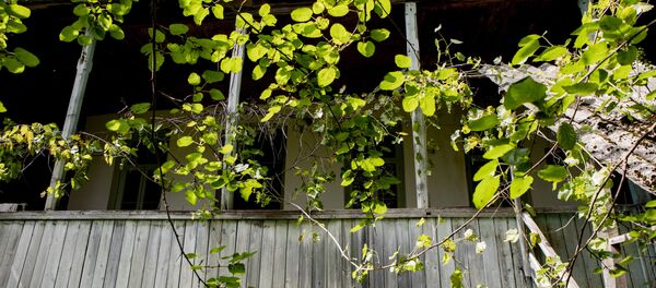 Дом семьи Гергауловых - Sputnik Южная Осетия