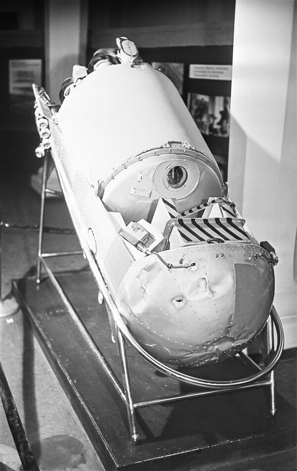 Катапультируемый контейнер собак Белки и Стрелки, совершивших космический полет на корабле Спутник-5 19 августа 1960 года - Sputnik Южная Осетия