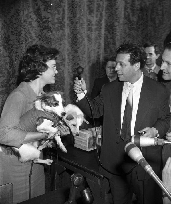 Собаки Белка и Стрелка, побывавшие в космосе, на интервью, которое берет корреспондент Московского радио, 1960 год - Sputnik Южная Осетия
