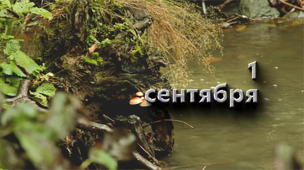 День 1 сентября - Sputnik Южная Осетия