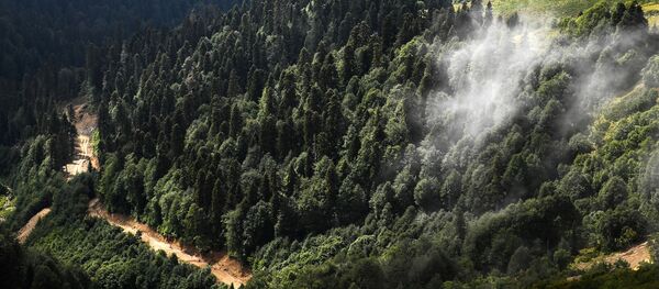 Склоны гор главного Кавказского хребта вна горном курорте Роза хутор в Красной поляне. - Sputnik Южная Осетия