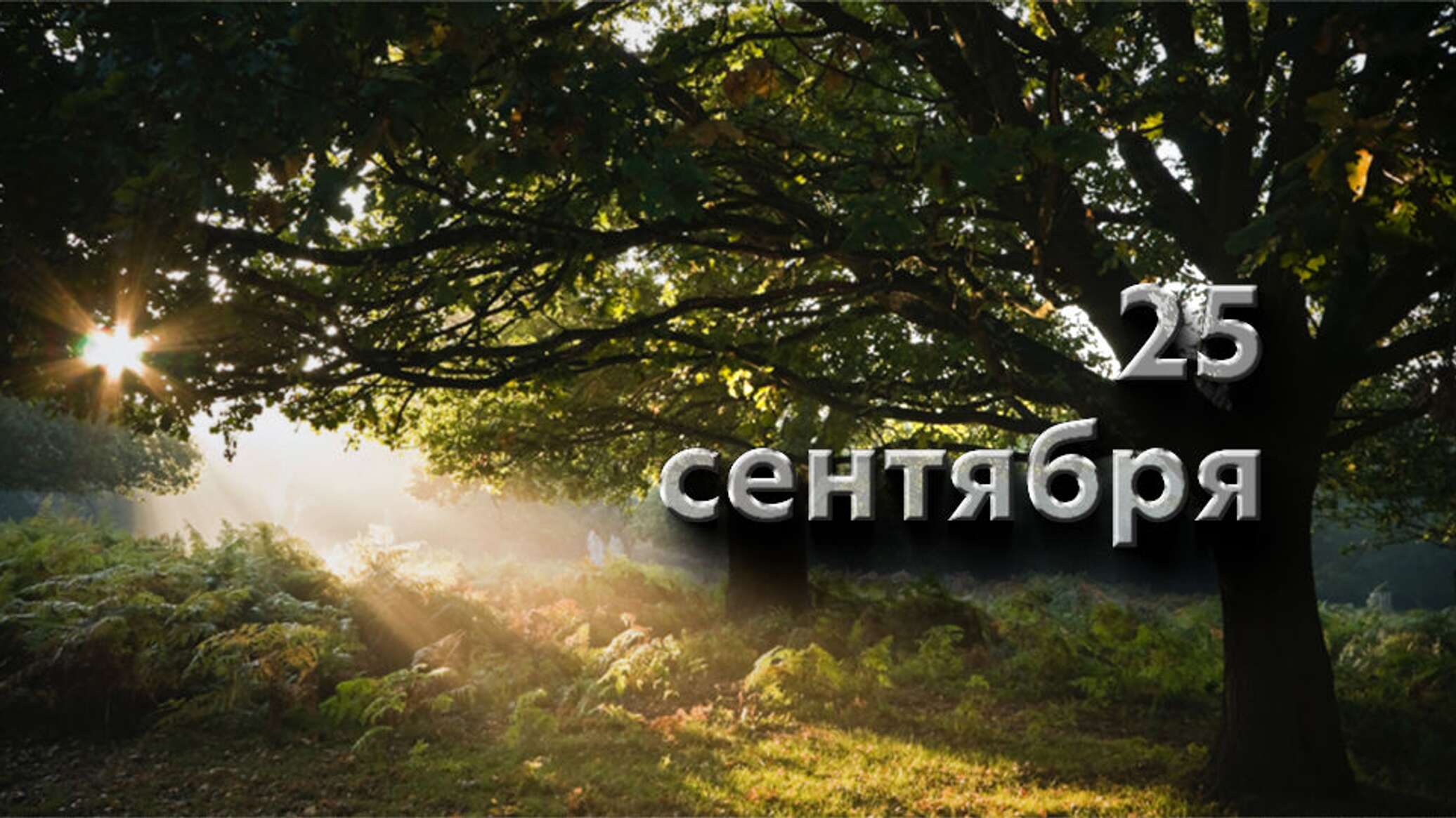 25 сентября. 25 Сентября картинки. 25 Сентября праздник день сновидений. День обними вегетарианца 25 сентября.