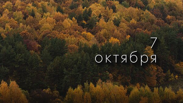 День 7 октября - Sputnik Южная Осетия