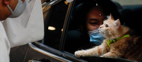 Коронавирус Коронавирус - Sputnik Южная Осетия