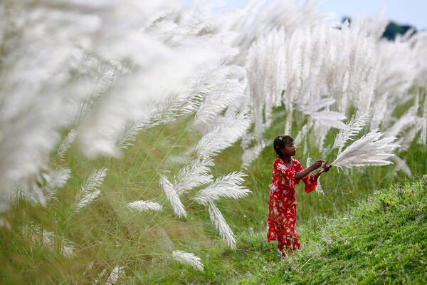 Девочка собирает цветы на окраине Дакки (Бангладеш). - Sputnik Южная Осетия