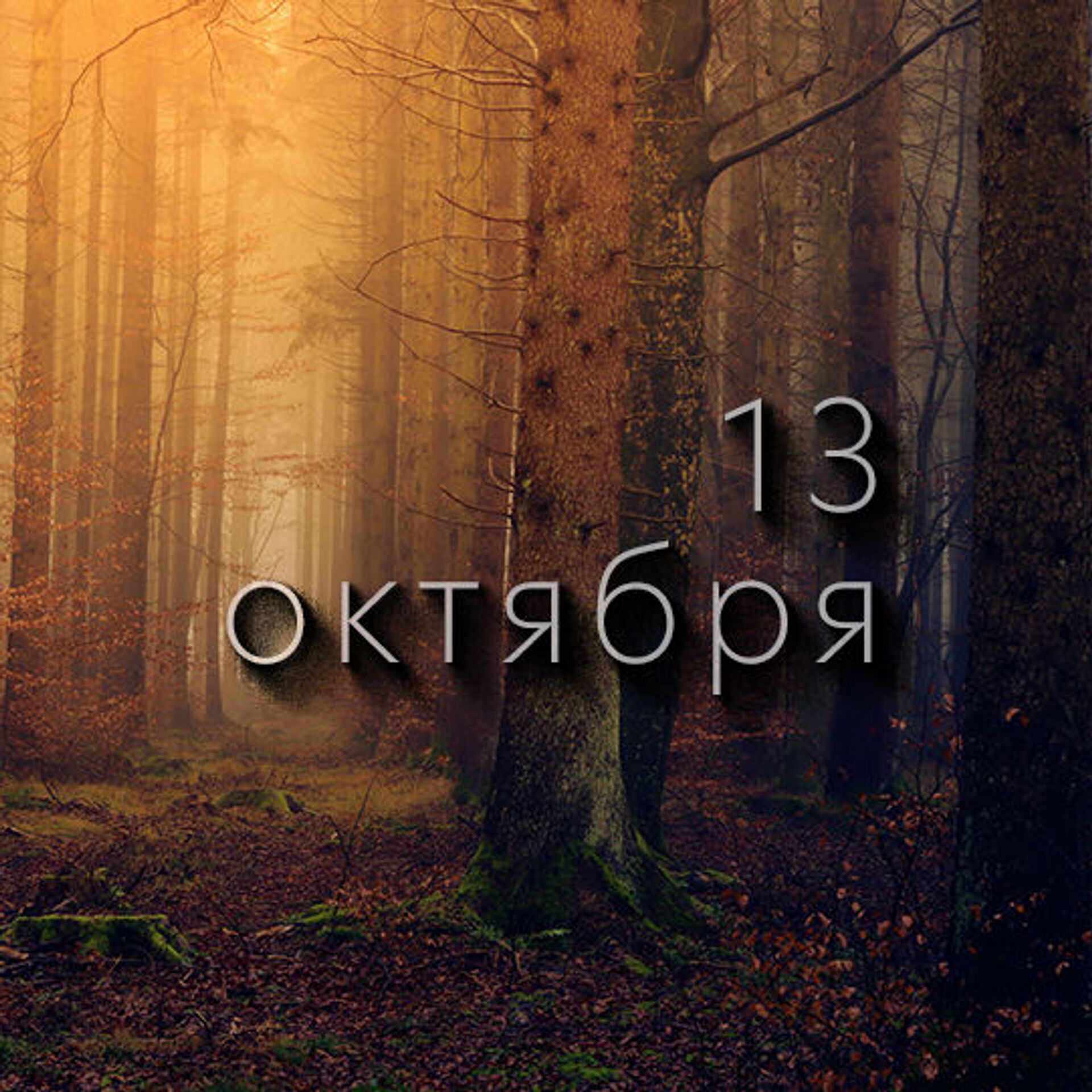 10 11 12 октября. Осень в лесу. Мистический лес. Лес фон. Загадочный лес.