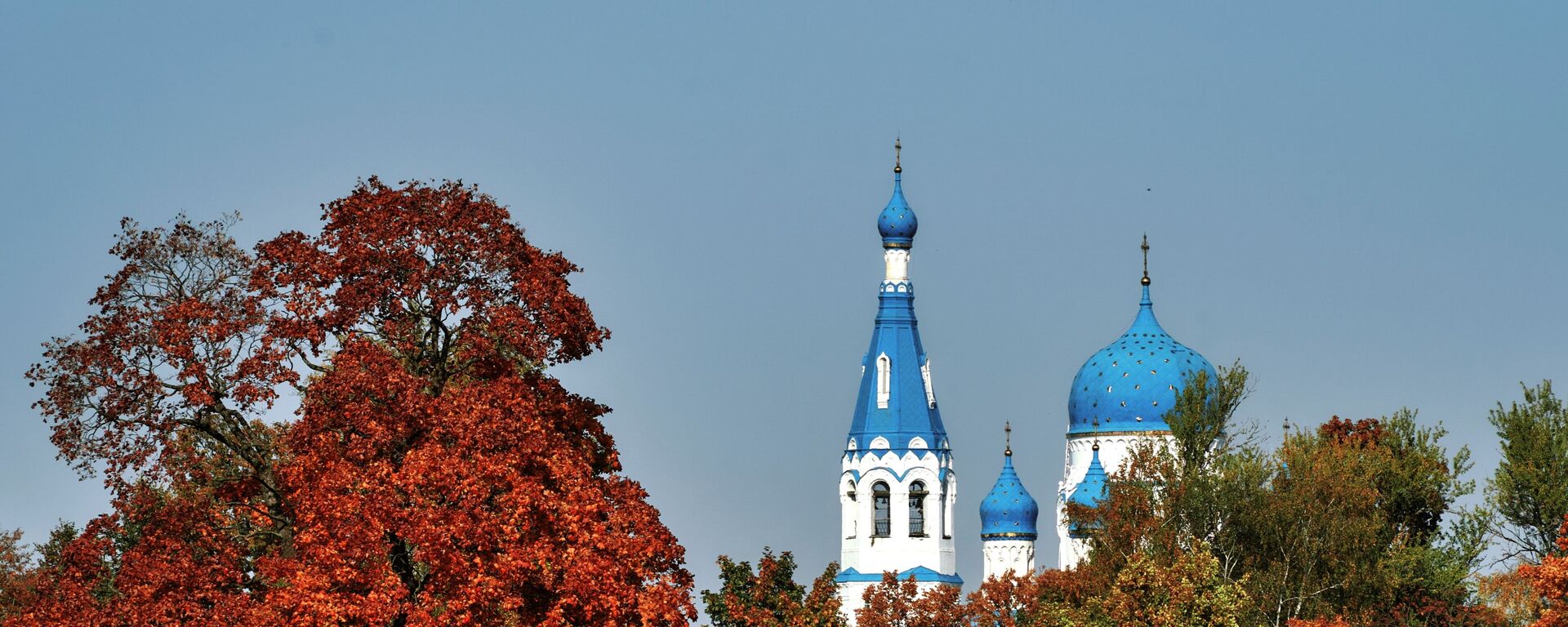  Гатчинский Покровский собор (собор Покрова Пресвятой Богородицы) в Гатчине Ленинградской области.  - Sputnik Южная Осетия, 1920, 12.10.2020