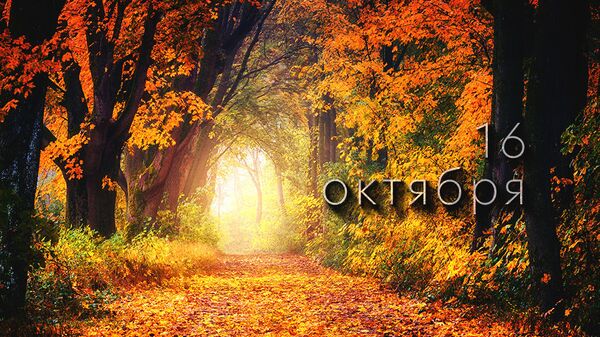 День 16 октября - Sputnik Южная Осетия