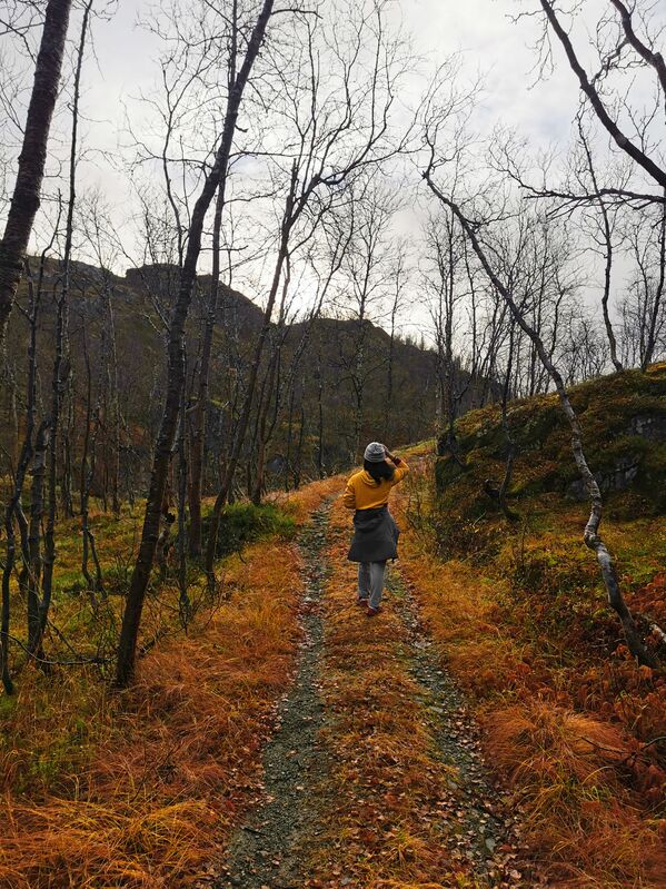 Прогулка в осеннем лесу в Норвегии - Sputnik Южная Осетия