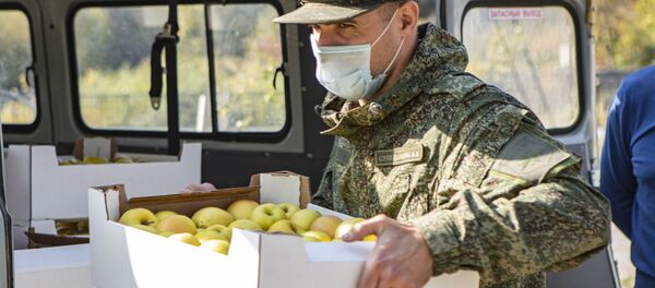 Мобильному полевому госпиталю передали яблоки - Sputnik Южная Осетия