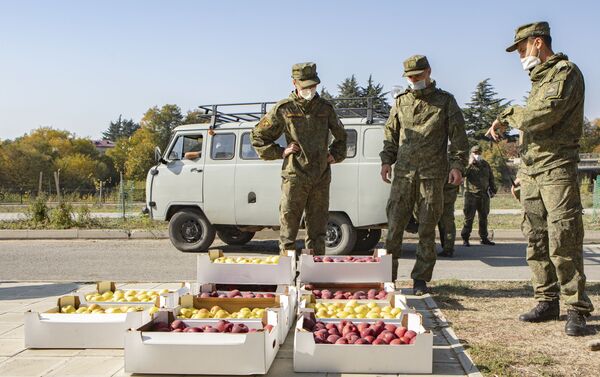 Мобильному полевому госпиталю передали яблоки - Sputnik Южная Осетия