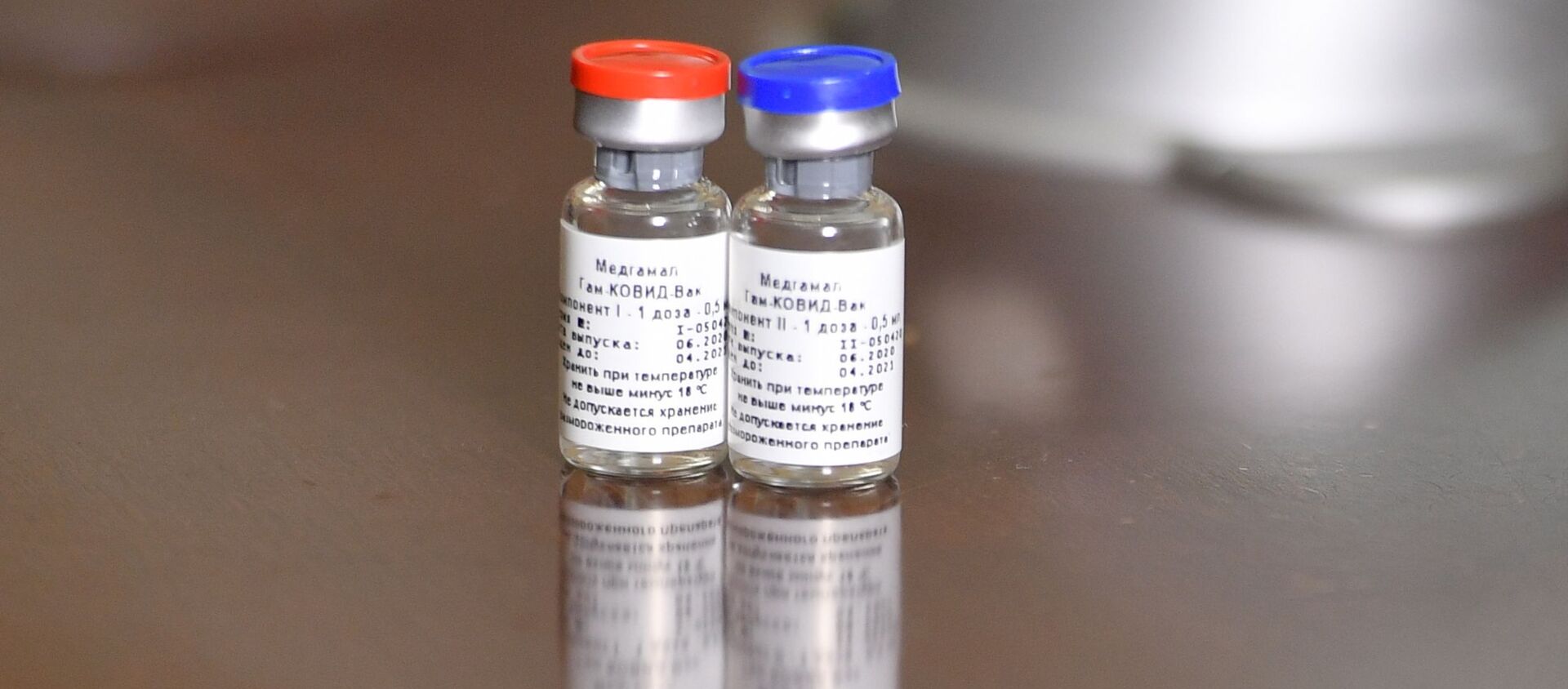 Брифинг, посвященный первой в мире зарегистрированной вакцине от COVID-19 - Sputnik Южная Осетия, 1920, 13.01.2021