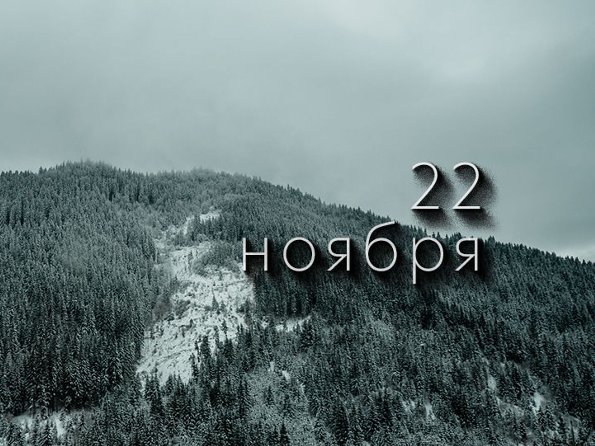 Россия 22.11 2021