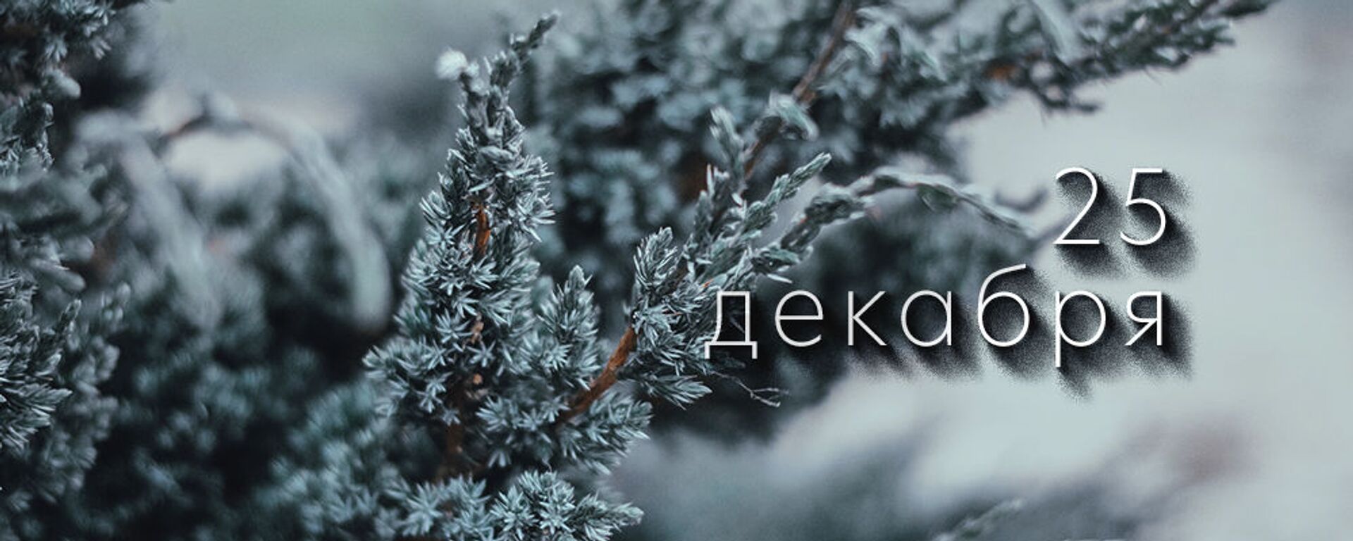 День 25 декабря - Sputnik Южная Осетия, 1920, 24.12.2025