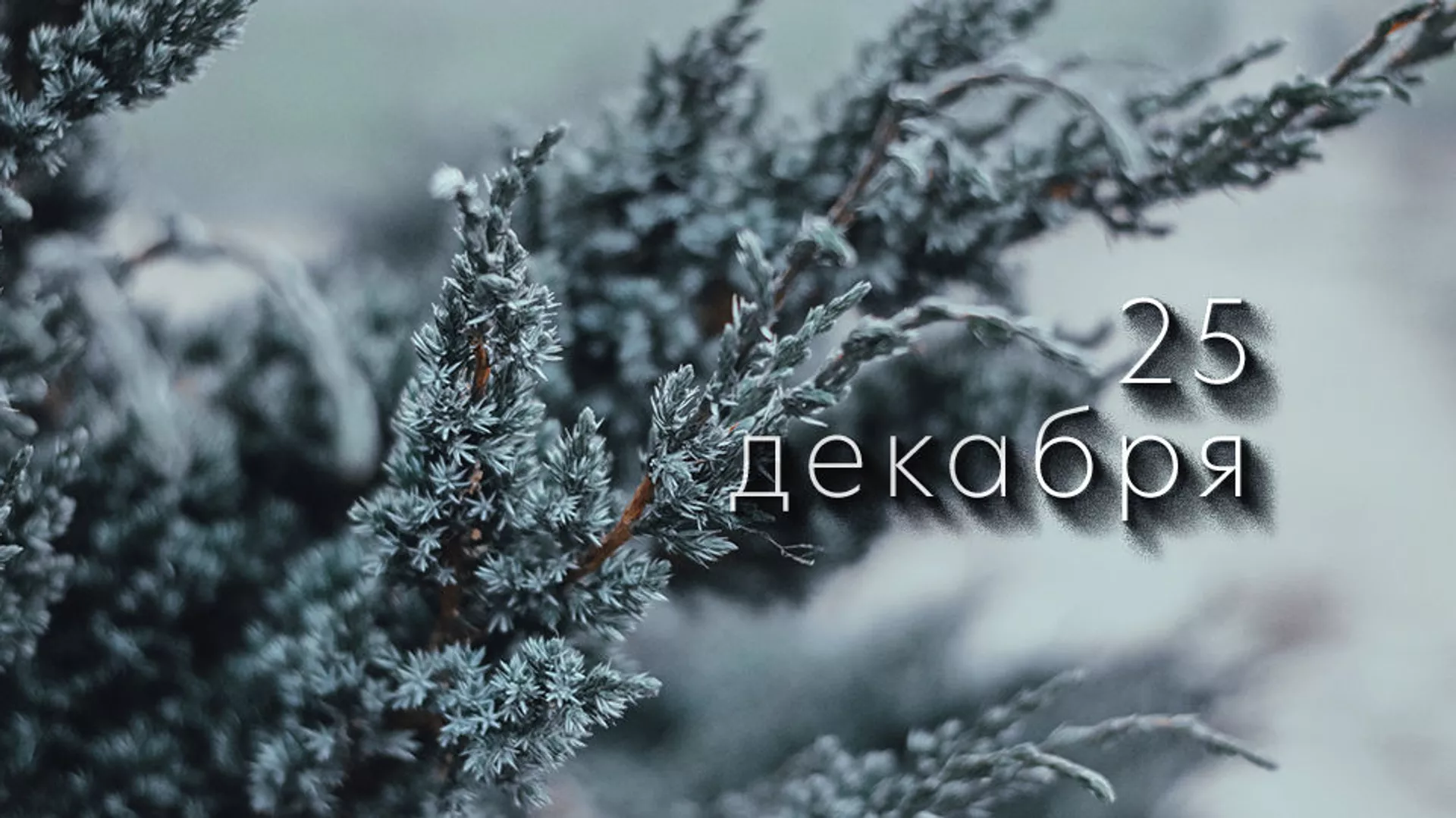 День 25 декабря