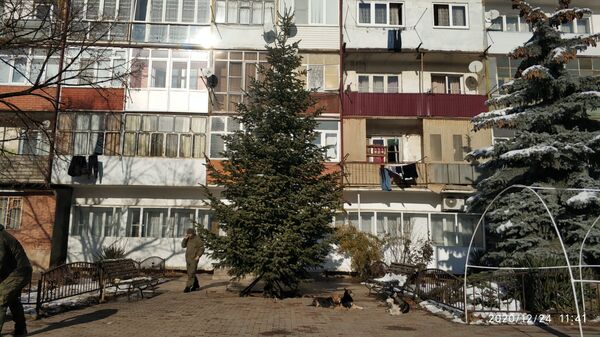В районах Цхинвала наряжают новогодние елки В районах Цхинвала наряжают новогодние елки - Sputnik Южная Осетия