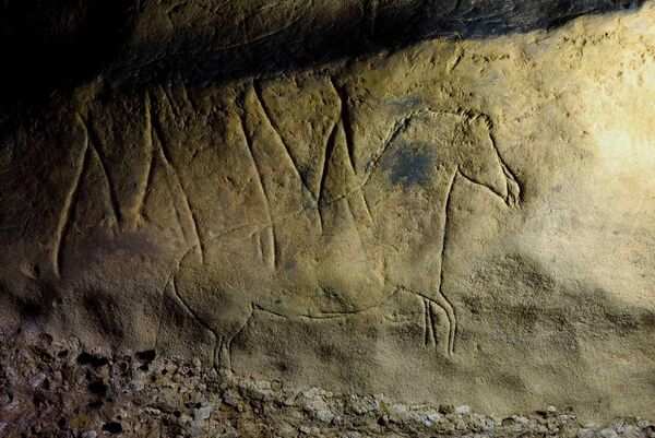 Настенные рисунки в пещере Фонт-Мажор в Испании  - Sputnik Южная Осетия