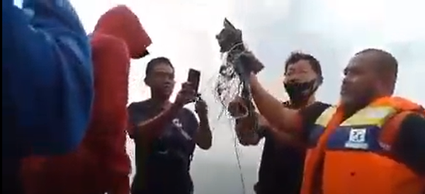 Крушение самолета в Индонезии  - Sputnik Южная Осетия