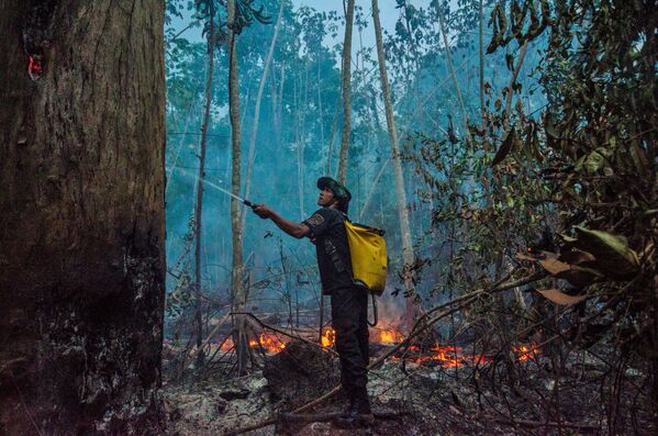 Тушение лесных пожаров в Бразилии - Sputnik Южная Осетия