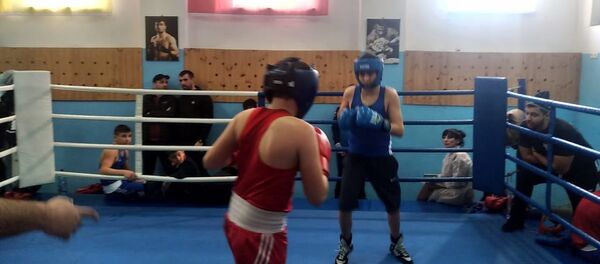 В Цхинвале прошли отборочные спарринги на первенство Северной Осетии  В Цхинвале прошли отборочные спарринги на первенство Северной Осетии - Sputnik Южная Осетия