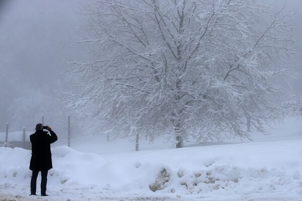 Мужчина фотографирует покрытое снегом дерево на Корсике  - Sputnik Южная Осетия