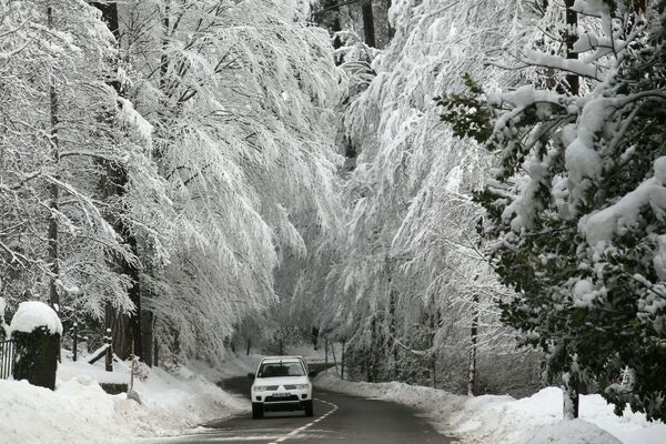Автомобиль проезжает под покрытыми снегом деревьями на Корсике  - Sputnik Южная Осетия