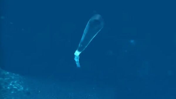 Океанская многоцелевая система Посейдон. Архивное фото - Sputnik Южная Осетия