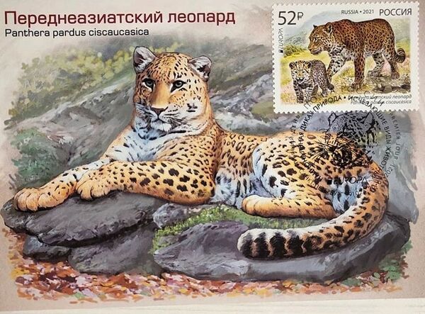 Почта России выпустила марку с кавказским барсом - Sputnik Южная Осетия