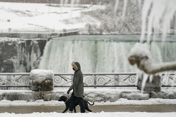 Девушка с собакой проходит мимо водопада Хорсшу-Фолс в Канаде  - Sputnik Южная Осетия