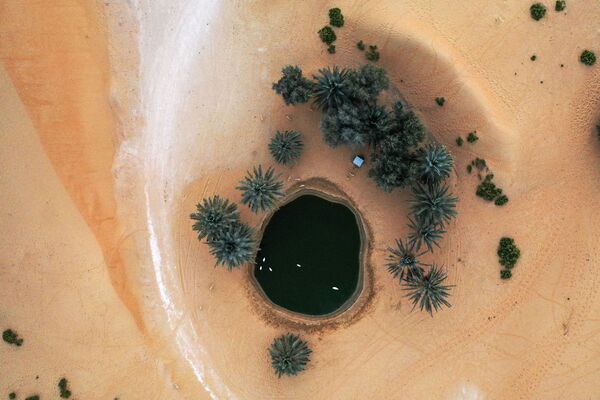 Оазис в пустыне на курорте Телал Аль-Айн, ОАЭ - Sputnik Южная Осетия