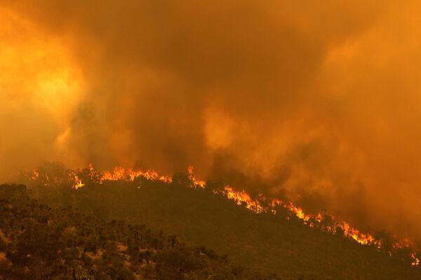 Лесной пожар, вызванный сильным ветром, в Перте, Австралия - Sputnik Южная Осетия