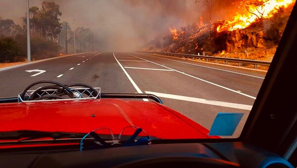 Лесной пожар у дороги в Вуролоу, недалеко от Перта, Австралия  - Sputnik Южная Осетия