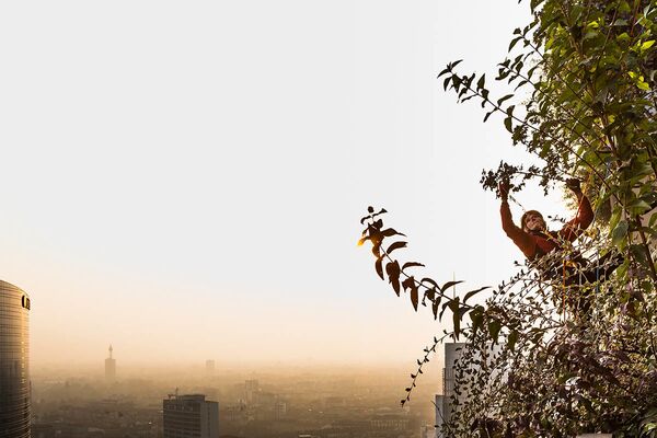 Снимок A Game of Subtle Balances итальянского фотографа Matteo Carassale, ставший финалистом в категории Plants & Planet конкурса The International Garden Photographer of the Year Competition-14 - Sputnik Южная Осетия