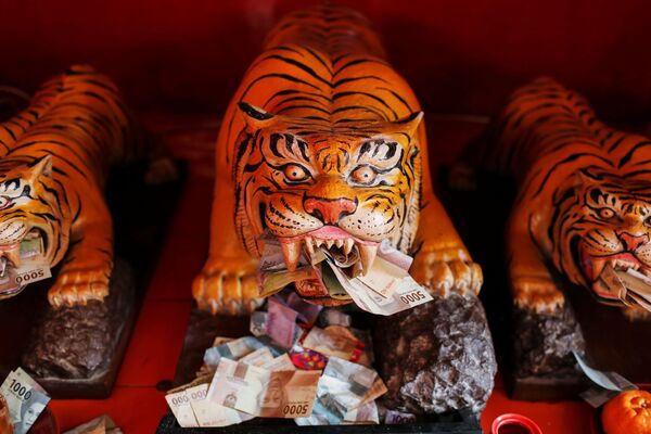 Банкноты у скульптур тигров в храме Дхарма Бхакти во время празднования Нового года по лунному календарю в Джакарте, Индонезия - Sputnik Южная Осетия