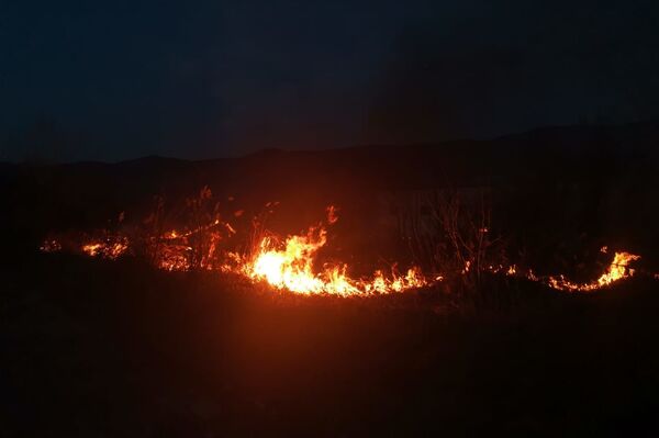 Возгорание сухостоя в Южной Осетии  - Sputnik Южная Осетия