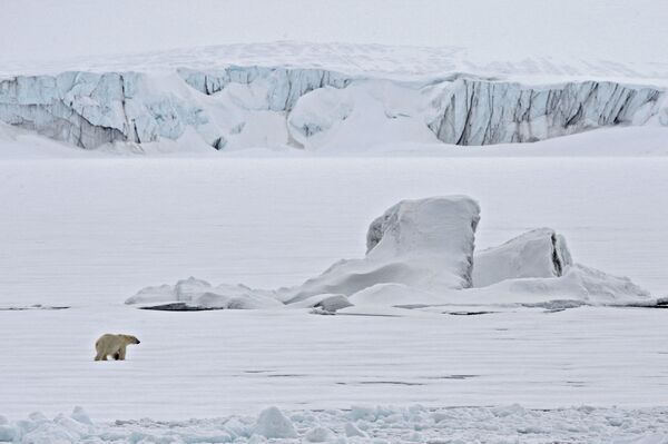 Белый медведь на льдине в Северном ледовитом океане - Sputnik Южная Осетия