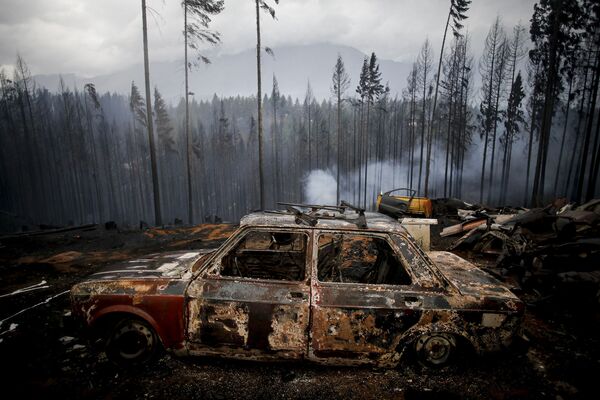 Автомобиль, сгоревший в результате лесных пожаров в Лас-Голондринас, Аргентина - Sputnik Южная Осетия